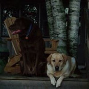 Beth Burns's photo