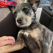 Melissa Ingrisano's photo