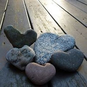 Jennifer Wright's photo