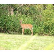 Dennis Gladfelter's photo
