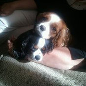 Wendy Atkinson's photo