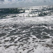 Angie Sanchez's photo