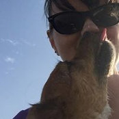 Jennifer Blehm's photo