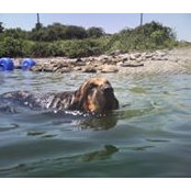 LuAnn Waugh-Botelho's photo