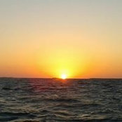 Carol Stima's photo