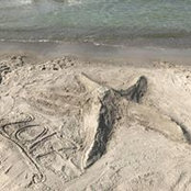 Julia Engel's photo