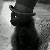Kari Dyer's photo