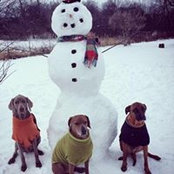 Jenny Schlack's photo