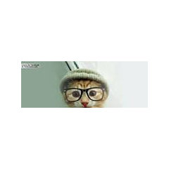 Fahed.abbar
