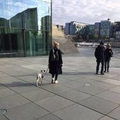 Leonie Teubel's photo