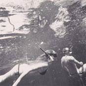 Alice Maiorino's photo