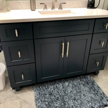 Cordova IL Master Bath Remodel Dura Supreme Hudson Gale Force Cambria Swanbridge