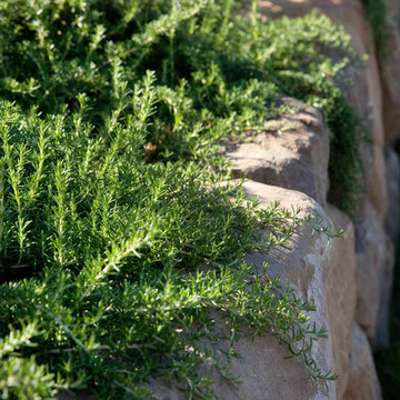 Winding Creek