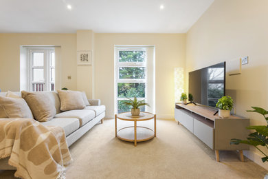 Design ideas for a modern living room in Dorset.
