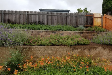Inspiration for a mediterranean landscaping in San Diego.