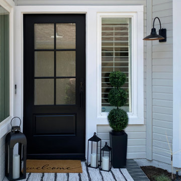 Modern Doors