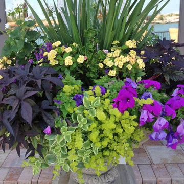 Mediterranean-style potted urn