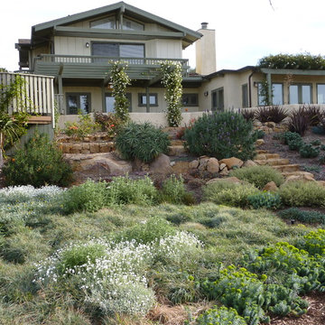 Silver Meadow