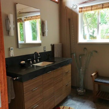 Ann Arbor Master Bath Addition: Water Hill