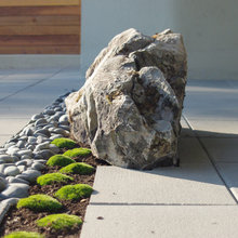 Landscape Ideas