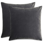 Jennifer Taylor Home - Jennifer Taylor Home Plume 24" Feather Down Throw Pillow Set of 2 Storm Gray - Treat your space to a pair of luxuriously soft accent throw pillows from the Plume Collection by JTH LUXE. The 24 inch square dimensions are perfectly oversized to add a plush style accent to your sofa or bed. The plump insert is filled with feather down and cotton, while the removable pillow cover is available in a variety of neutral and jewel tone fabrics.