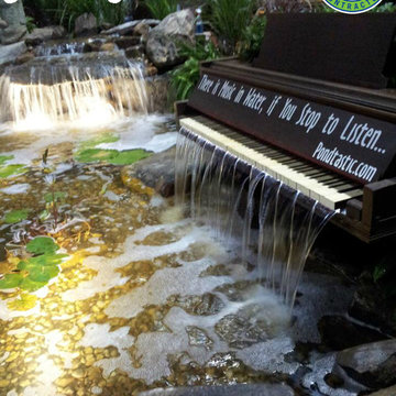 Waterfalls Central Florida, Orlando, (FL)