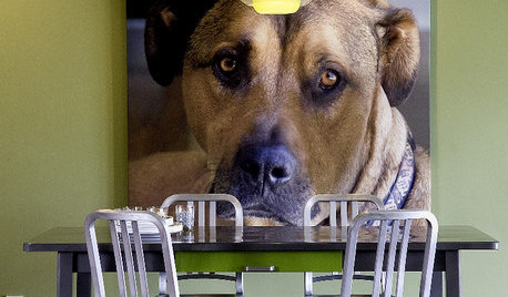 Doggy Decor: 10 Ways to Make Your Dog Feel Like Part of the Family