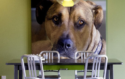 Doggy Decor: 10 Ways to Make Your Dog Feel Like Part of the Family
