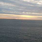 Aly W's photo