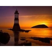 Angelia Davis's photo