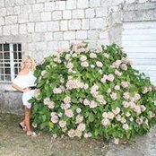 Julia Julia's photo