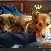 Foto de Carol Bennett
