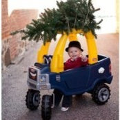 Nicole Wills's photo