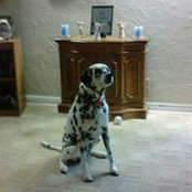 Bea Seehafer's photo