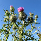 Jenny Giblin's photo