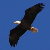 Eric Keith's photo