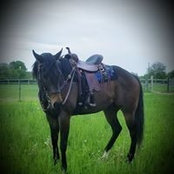 Kellee Edenburn's photo