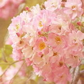 Victoria James's photo