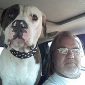 Harry Daehling's photo