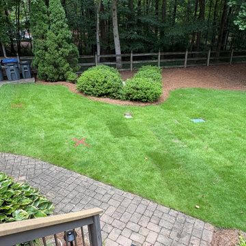 Yard Transformation