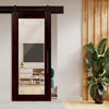 Mirrored Barn Door with Frosted Design, Wenge, Zebrano or Ebony Veneers, 36"x84" Inch, Ebony Veneer, 1x Mirror Front Side