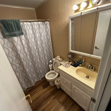 Bathroom Update