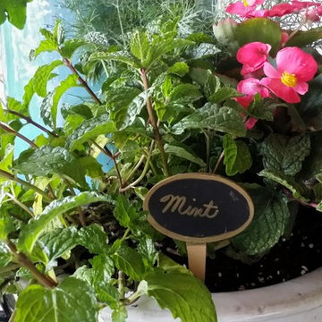 Patio Paradise