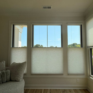 Top-down, bottom-up cellular shades in Davidos