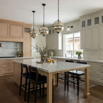 Organic Transitional Home Remodel