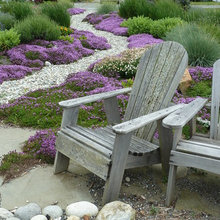 Coastal garden ideas