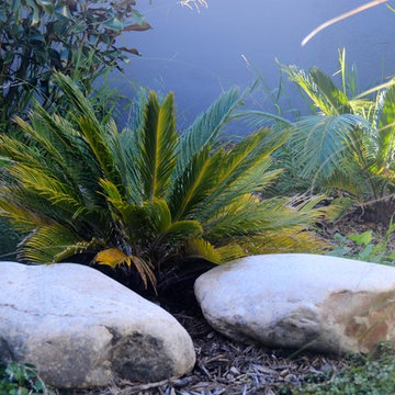 Contemporary squares