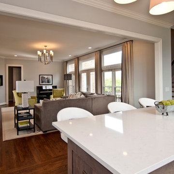 Modern in the Suburbs
