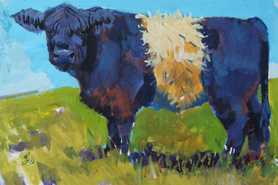 Belted Galloway Cows