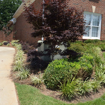 Andrews Landscape